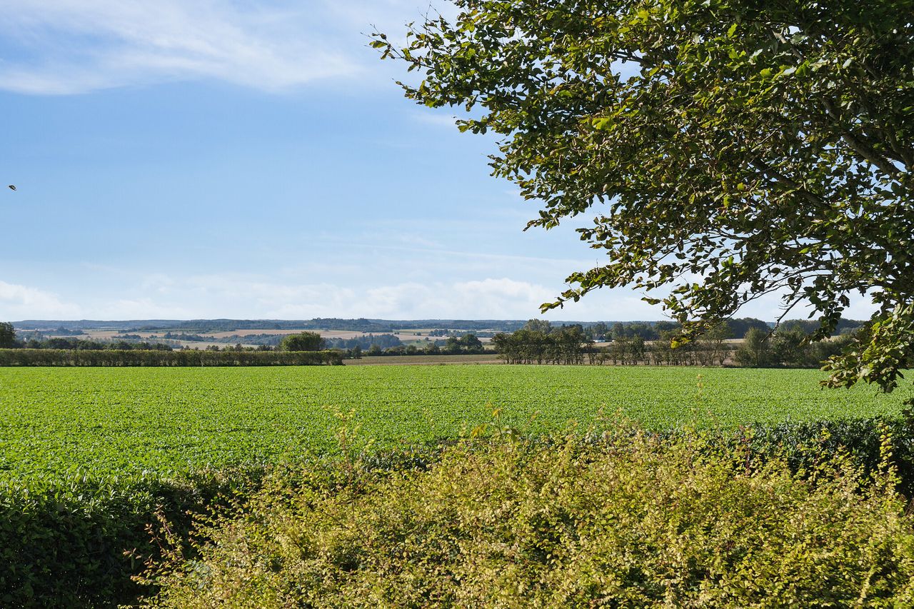 image 04