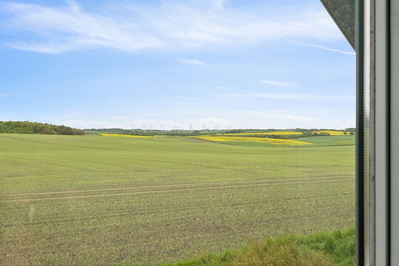 image 04
