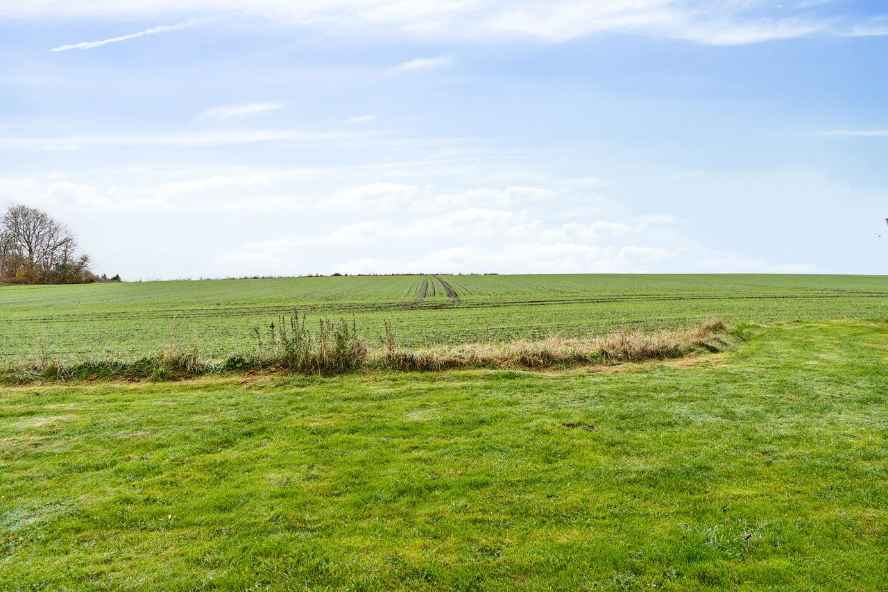 image 04