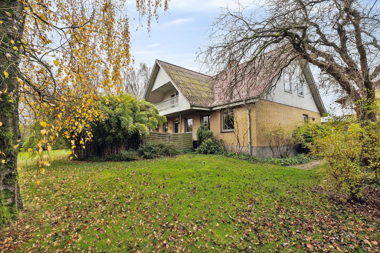 image 02